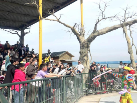 江苏盐城大丰港经开区：文旅融合新赛道 助力区域旅游热度“狂飙”