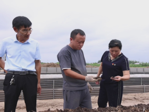 党徽闪耀映初心丨江苏盐城大丰区大中街道阜北村党总支书记、村民委员会主任陈安芹