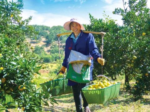 基层党建创新 激活乡村振兴“红色动能”