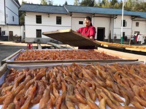 江西安远县塘村乡：庭院“小经济”激活乡村新动能