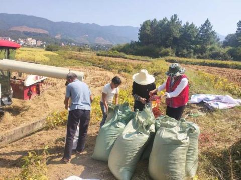 湖南永州：“瑶韵飘香·米香飘万家”，爱心助农销路开