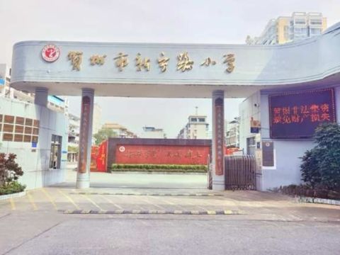 广西贺州市新宁路小学 “清”育桃李 “廉”润校园