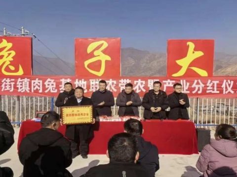 实干绘美景 乡村变新颜——甘肃省陇南市武都区马街镇农业农村工作剪影