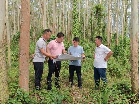 广西博白县松旺镇以党建引领推进乡村振兴