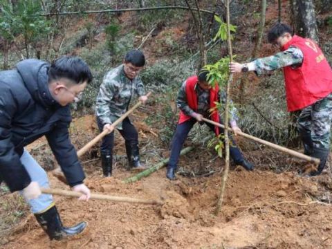 江西安远县塘村乡：“植”此青绿 不负春光开展新春义务植树