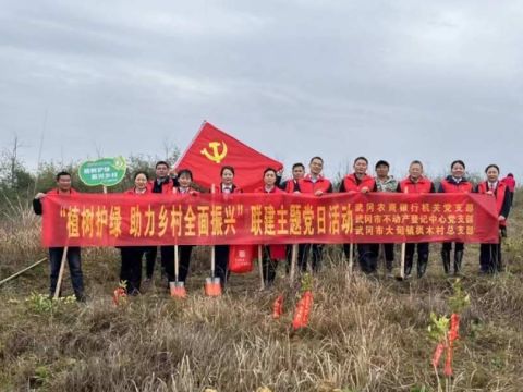 湖南武冈农商银行：以&ldquo;党建红&rdquo;引领&ldquo;生态绿&rdquo;，植树增绿护青山