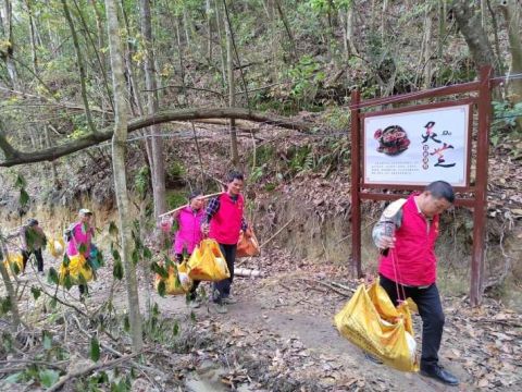 江西安远县塘村乡：灵芝种植撑起乡村振兴“致富伞”