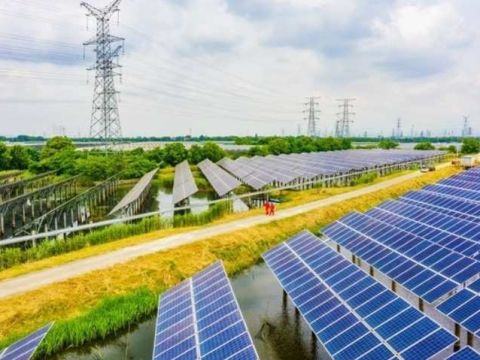 用心用情服务 电靓和美乡村