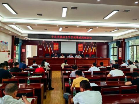 湖南邵阳县小溪市镇：吹端午廉洁风，系粽子清朗带