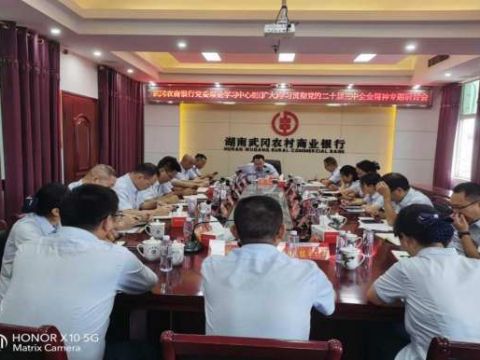 湖南武冈农商银行召开学习贯彻党的二十届三中全会精神专题研讨会