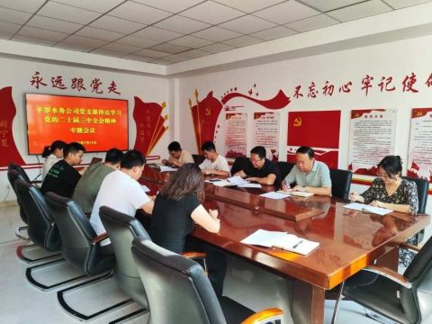 宁夏水投平罗水务公司：党建引领“多维发力” 品牌赋能提质增效