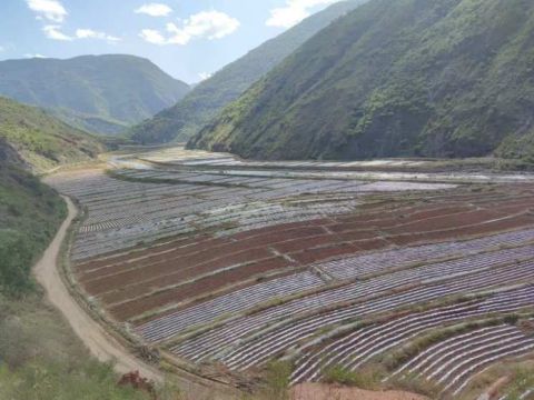 对礼社江流域红土坡段综合开发的调研与思考