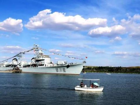 银川文旅集团：植树造林添绿意，助力黄河流域生态保护