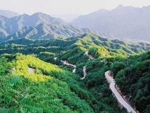 西峡：“两山”理念指航向 绿色产业促振兴