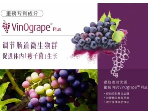 洞察中国消费者健康新诉求，Melrose麦萝氏绿瘦子2.0焕新升级