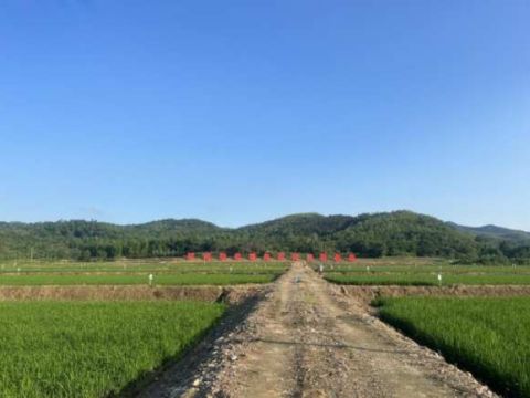 江西彭泽：天红镇春耕序曲奏响希望乐章