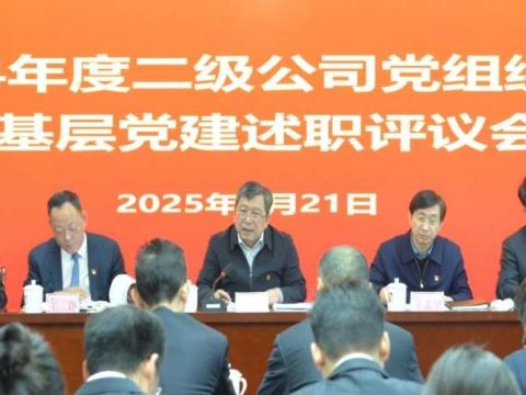 江西省水投集团：创新&ldquo;三个三&rdquo;机制  抓实党组织书记抓基层党建述职评议工作