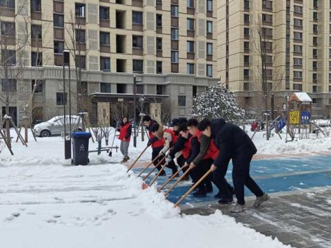 雄安新区容西片区西泉社区“西泉蜂巢”党建引领下的社区治理与服务优化