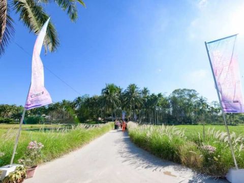 陵水英州：打造“大拥泽栖”网红打卡地绘就乡村振兴新画卷