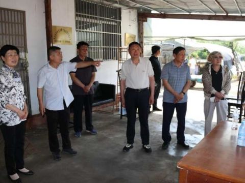 老科协开展专题调研活动  助力区域发展新质生产力