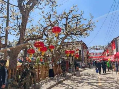 黄河之滨也很美！兰州“百村景区化”培育，乡村旅游蓬勃发展