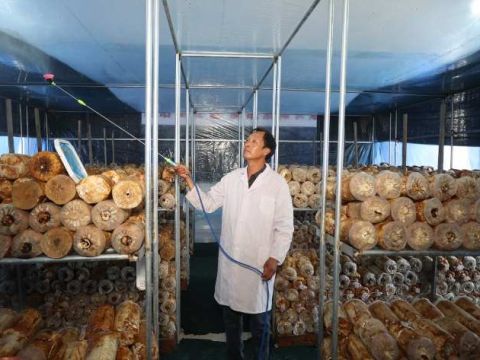 唐山乐亭县庞各庄乡：党建赋能村级集体经济提振加速