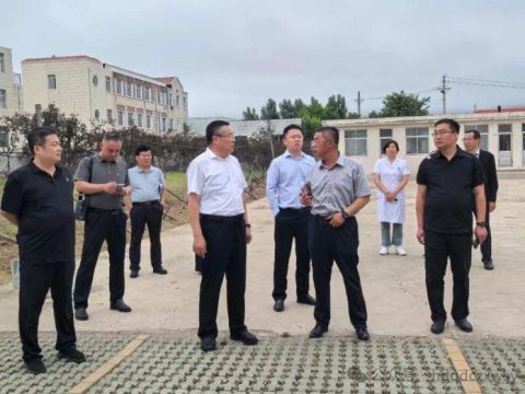 调研指导强根基  协同发展促提升