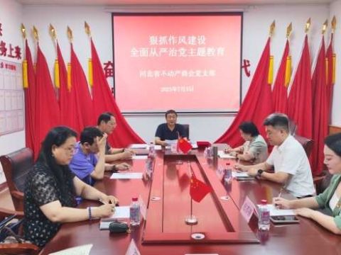 河北省不动产商会党支部开展&ldquo;狠抓作风建设 全面从严治党主题教育&rdquo;活动