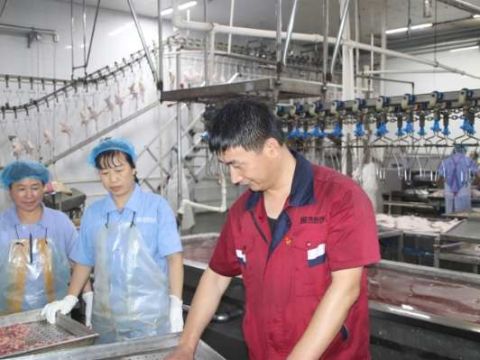 河北东风养殖有限公司：党建引领促发展  科技赋能显担当