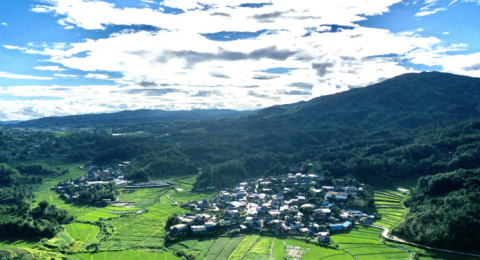 云南格朗和乡：从“靠山吃山”到“依山致富”