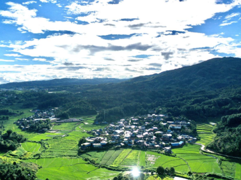 云南格朗和乡：从“靠山吃山”到“依山致富”