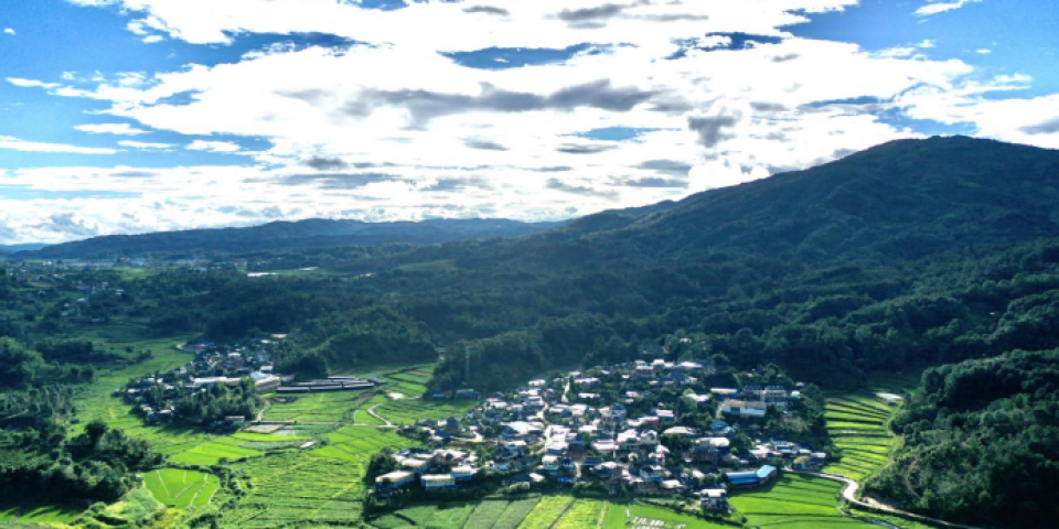 云南格朗和乡：从“靠山吃山”到“依山致富”