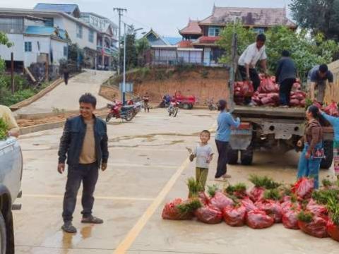 勐海县：让&ldquo;党建红&rdquo;引领&ldquo;生态绿&rdquo;让&ldquo;生态绿&rdquo;托起&ldquo;振兴梦&rdquo;
