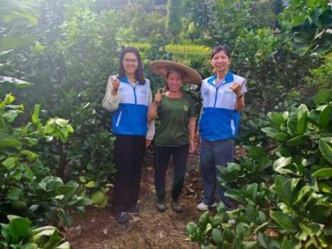 莞铜协作助力巾帼创业新突破：直播培训+社群对接，开辟乡村就业新路径