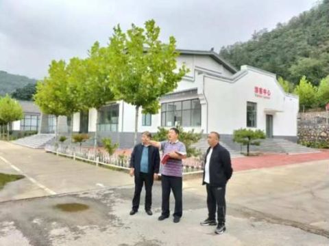 陈春芳：让绿色成为最美的颜色