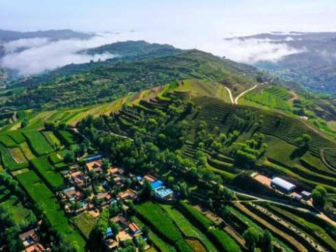 强基固本筑堡垒  提质增效促振兴——甘肃会宁县以“党建+”激活乡村发展新动能