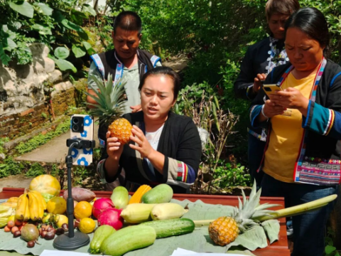 云南勐海县勐满镇：强组织 稳增收