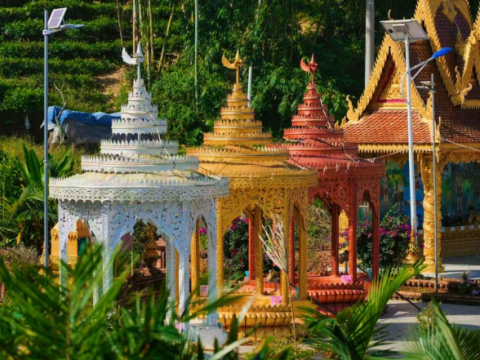 融党心于匠心 水泥花开共富路