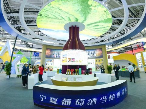 第二十三届中国绿色食品博览会暨第十六届中国国际有机食品博览会在银川开幕
