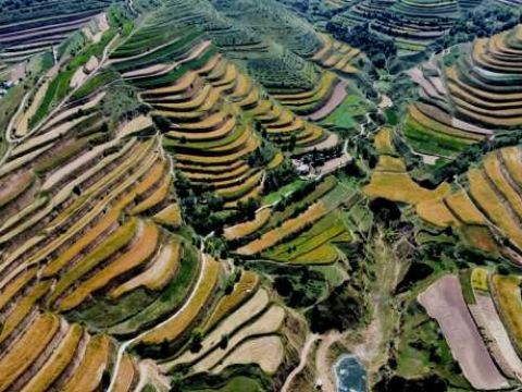 【和美乡村看甘肃】漫谷糜飘香——甘肃榆中县韦营乡加快地方经济发展扫描