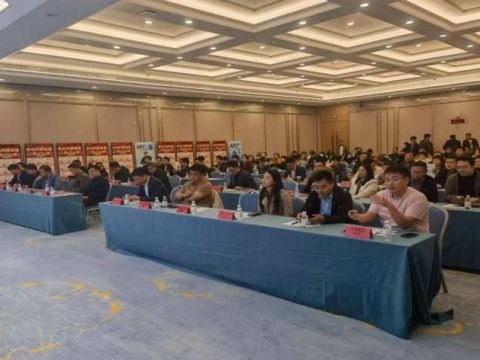 智汇岛城，科创未来：菜鸟无忧科技赋能青岛大学生就业行动正式启动