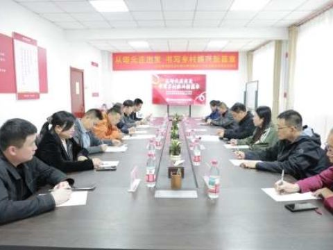 河北正定：从塔元庄出发，书写乡村振兴新篇章