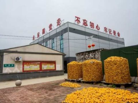 黑山村的红色传承：李玉生的乡村振兴之路