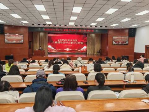 精准赋能&nbsp; 筑牢防线&mdash;&mdash;北京市丰台区2025年度儿童督导员与儿童主任专项培训圆满举行