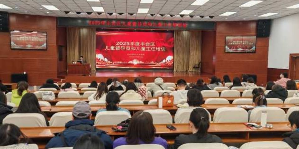 精准赋能  筑牢防线——北京市丰台区2025年度儿童督导员与儿童主任专项培训圆满举行