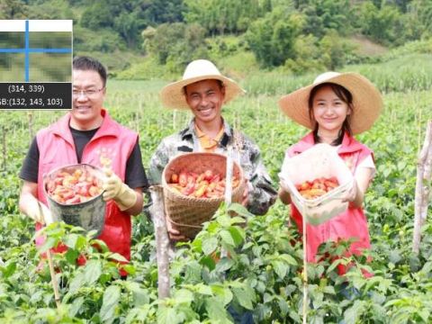 人才赋能云南勐往乡按下乡村振兴“快捷键”