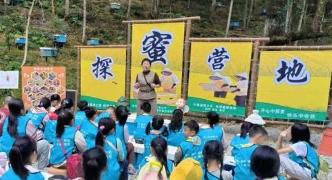 江西崇义县：描绘好“蜂”景 致富有“蜜”方