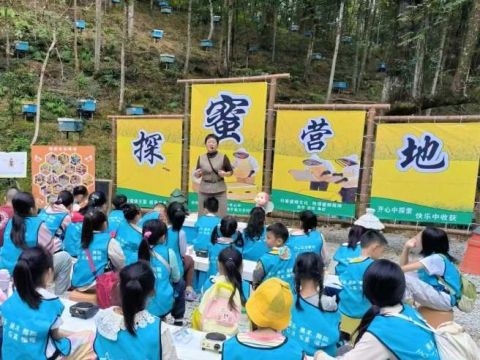 江西崇义县：描绘好“蜂”景 致富有“蜜”方