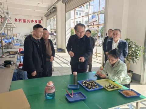 赣南师范大学党委副书记刘民一行深入天心村调研督导驻村帮扶工作