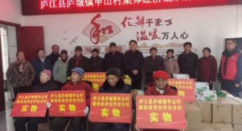 安徽庐城镇申山村：党建引领聚合力 多元发展促振兴